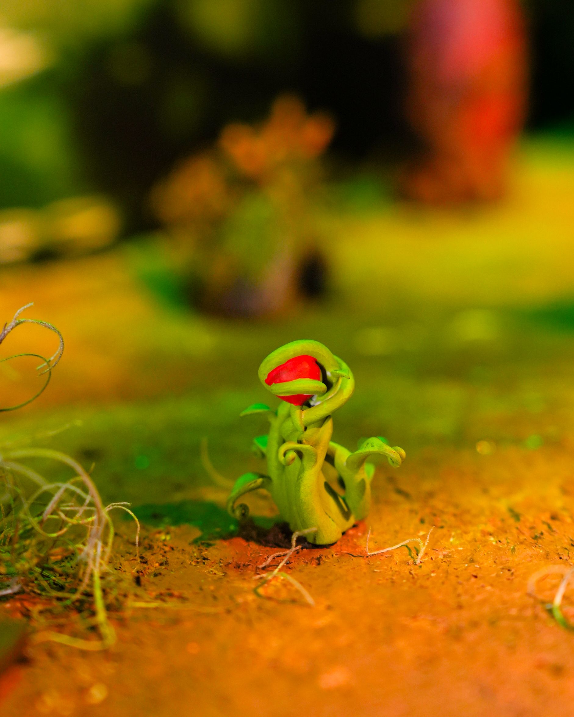 Фейський ліхтар