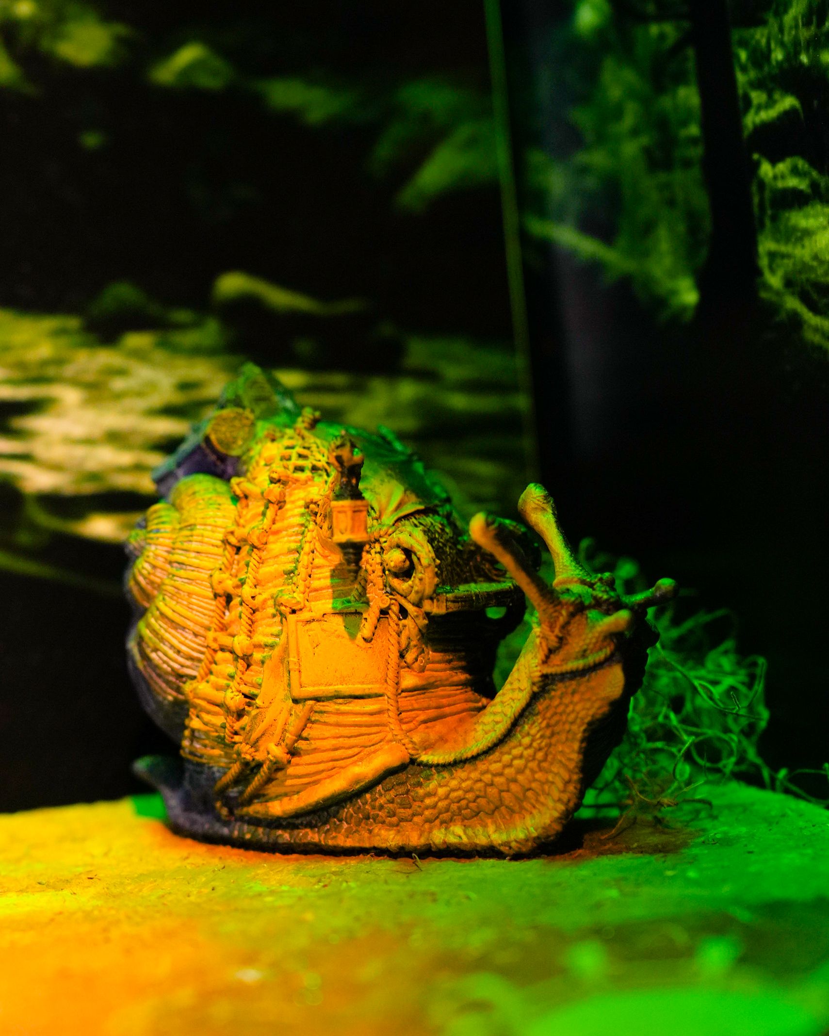 Купецький равлик